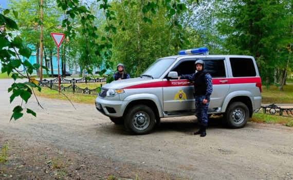 Печальная статистика: обнародованы данные по количеству случаев пропажи детей в РФ — 15 умерли