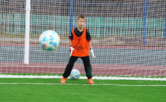 Три спортивных госпаблика Томской области отмечены всероссийскими наградами