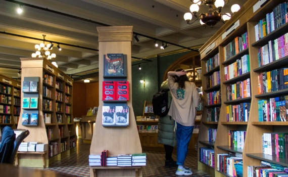 Лунный календарь 19 ноября 2025: что можно и нельзя в день мудрого слона – время интеллектуалов